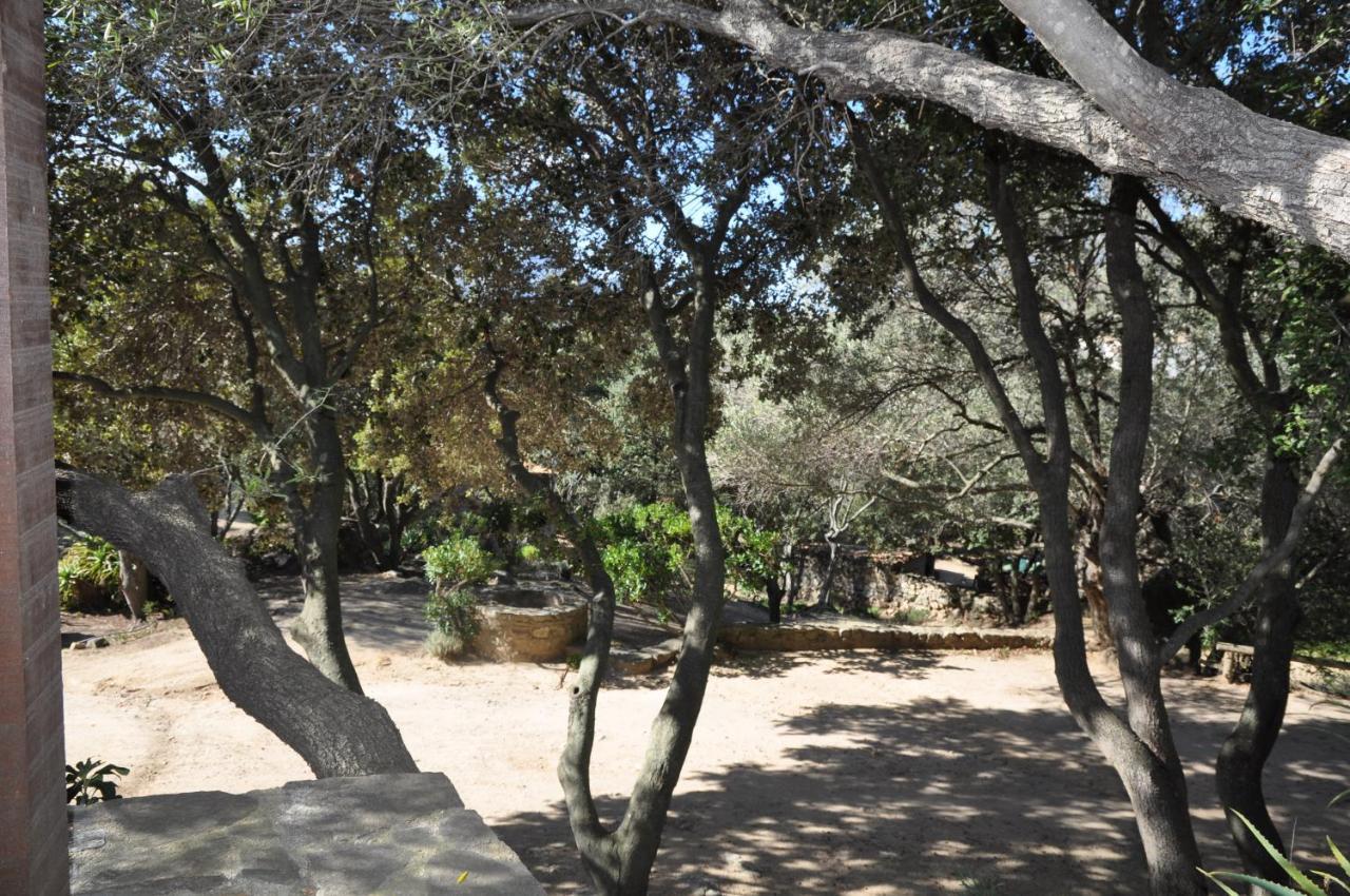 2Ba Domaine Malacucina Lumio ภายนอก รูปภาพ