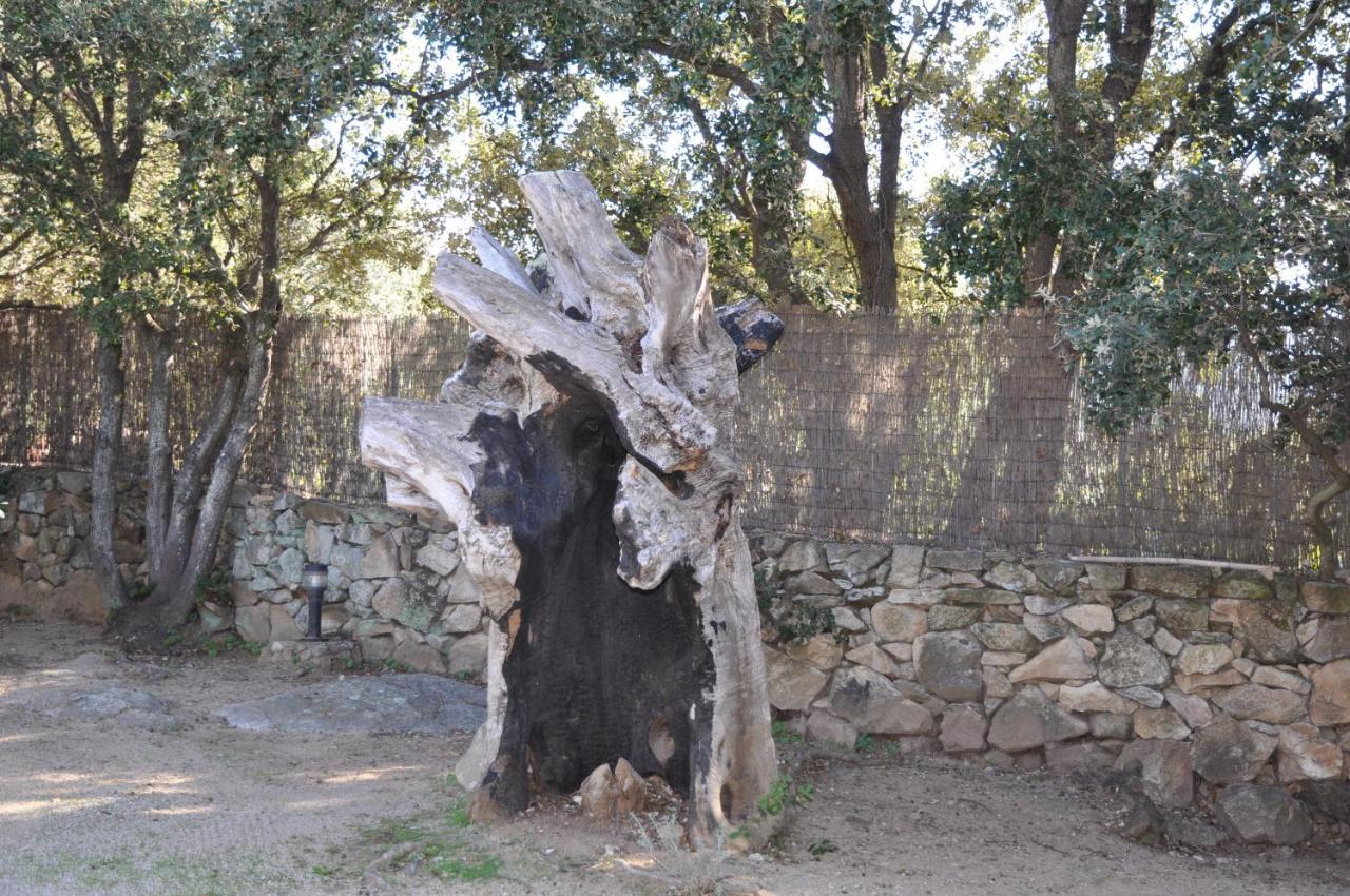 2Ba Domaine Malacucina Lumio ภายนอก รูปภาพ