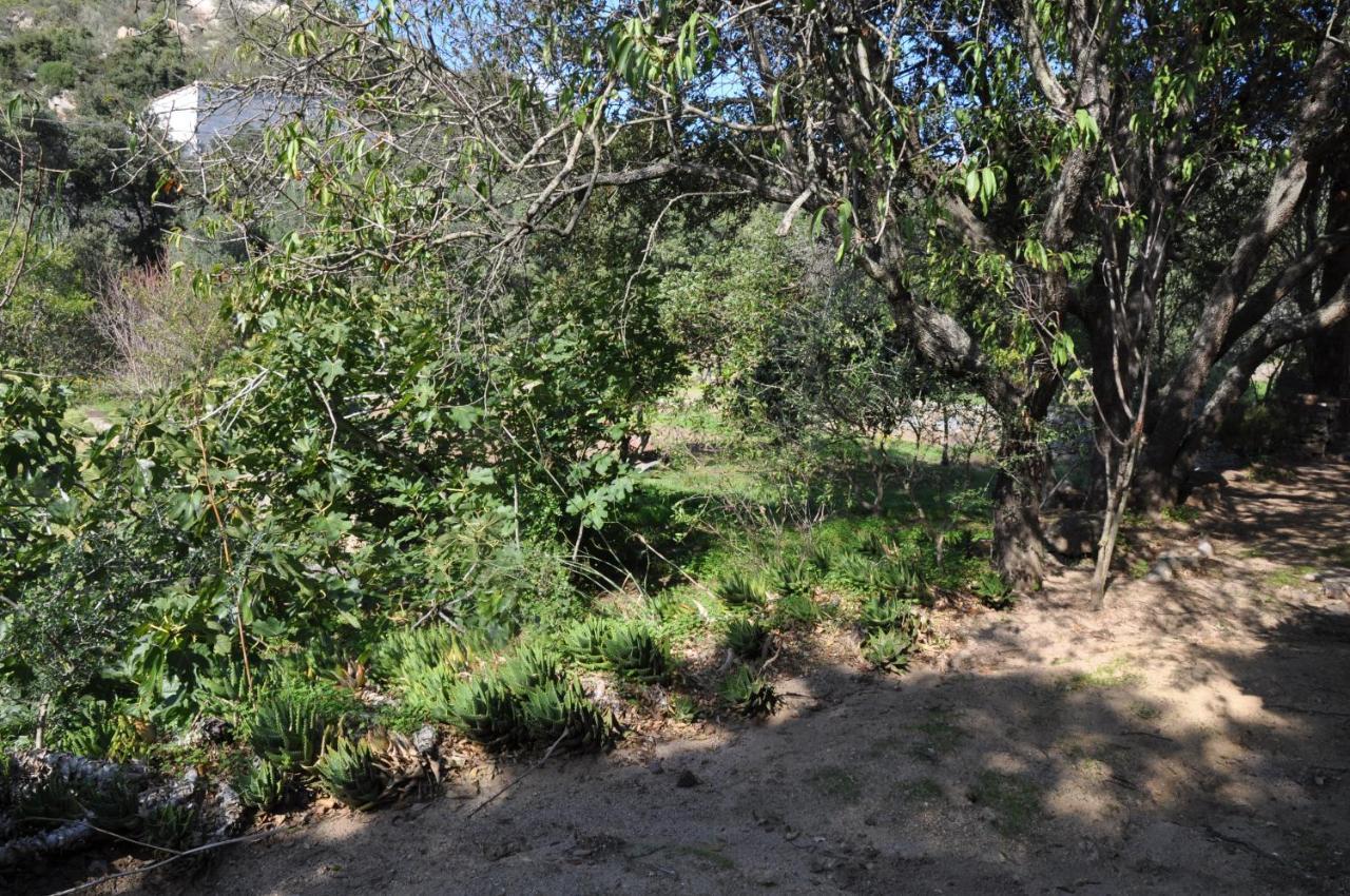 2Ba Domaine Malacucina Lumio ภายนอก รูปภาพ