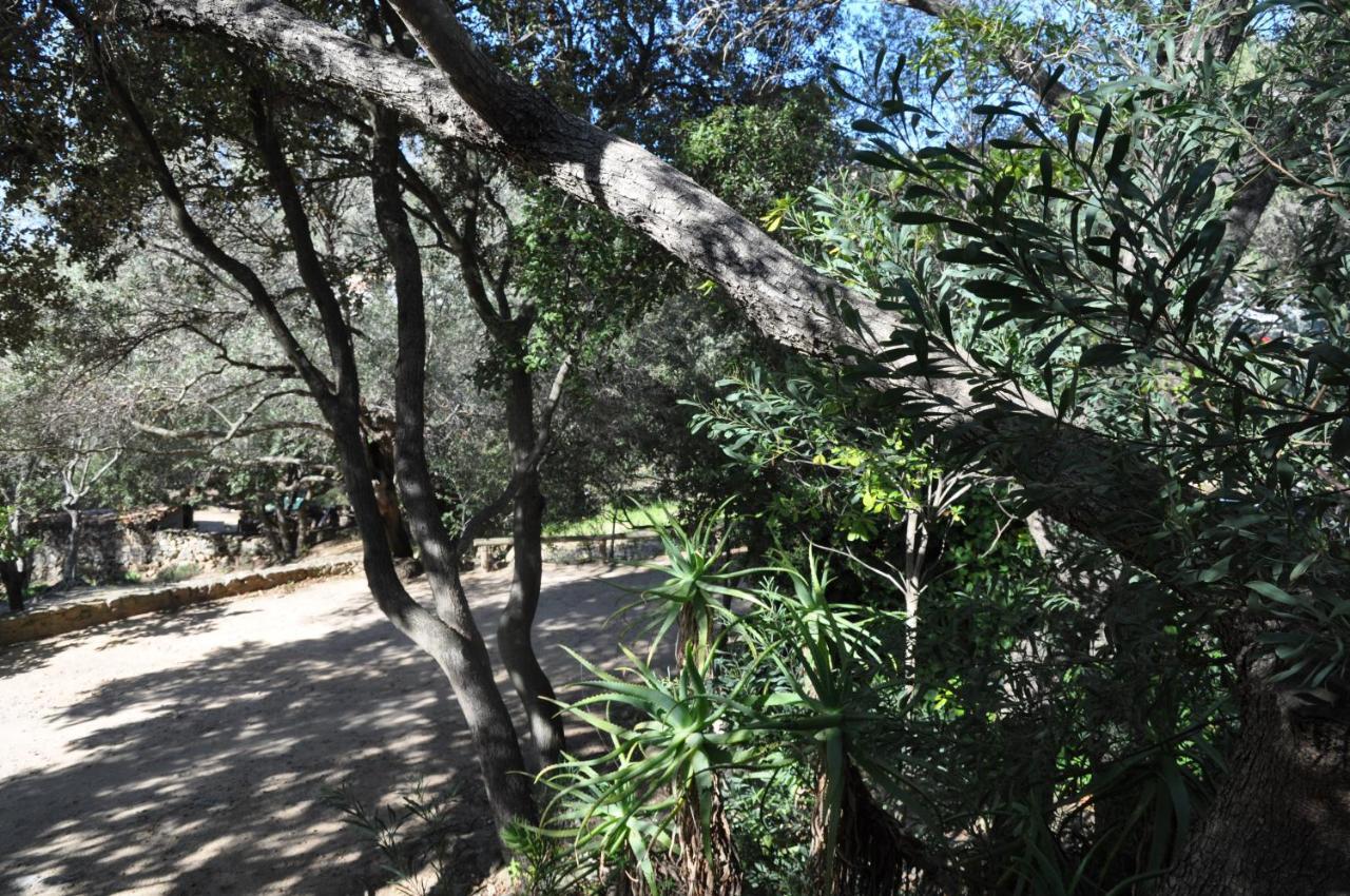 2Ba Domaine Malacucina Lumio ภายนอก รูปภาพ