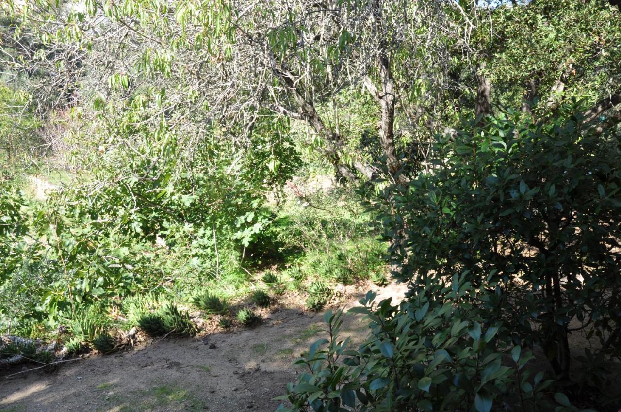 2Ba Domaine Malacucina Lumio ภายนอก รูปภาพ